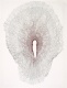 Caroline Pages - Desenhos Tcteis #1, 2012
